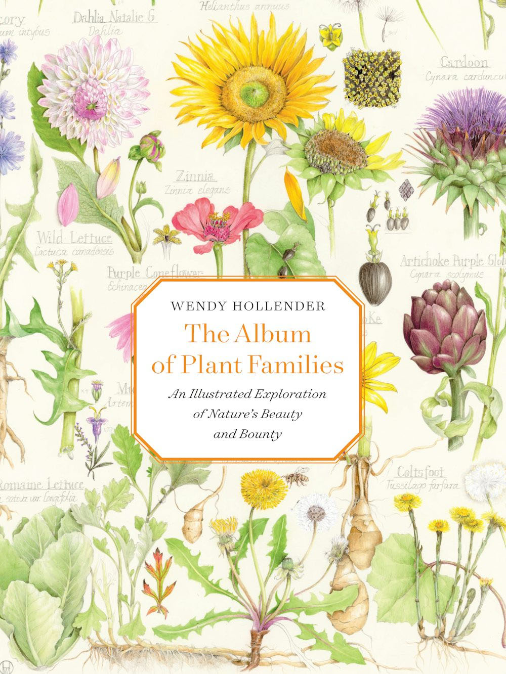 The Album of Plant Families: An Illustrated Exploration of